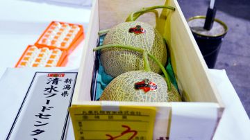Este par de melones se llegaron a vender en  $12,400 dólares en 2015, y a la gente parece no importarle pagar cada vez más.