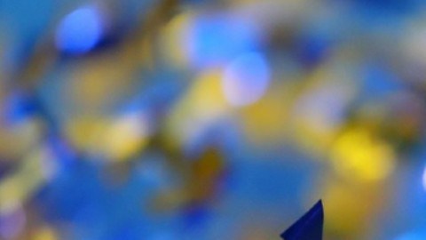 La sede para el siguiente mundial la anunciará la FIFA en mayo de 2020