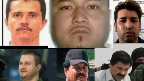 Narco apodos: El Mencho, El Mayo, El Marro, El Chapo. Les dicen así por esta razón