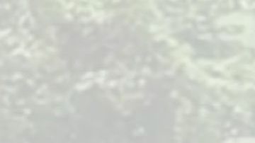 El agente aseguró la línea de rescate a un árbol río arriba.