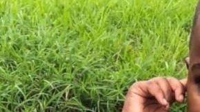 El niño ha sido identificado como Ivory West Jr.