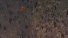 Nuevo enemigo de El Mencho deja decapitado y despellejado como amenaza