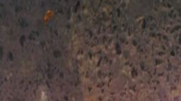 Nuevo enemigo de El Mencho deja decapitado y despellejado como amenaza