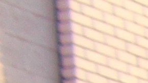 El evento contará con bailes típicos y bandas musicales. / foto: Suministradas