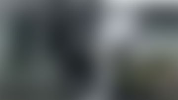 Se cree que el animal fue atraído por el olor a pescado.