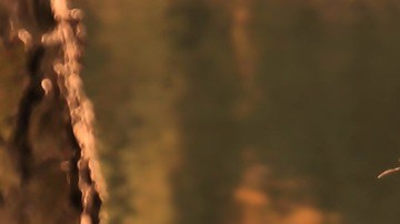 Ten en cuenta los riesgos de que tu mejor amigo se convierta en tu pareja.