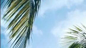 Sol y bajos impuestos en Florida