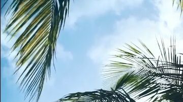 Sol y bajos impuestos en Florida