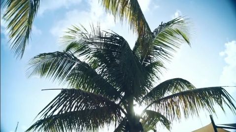 Sol y bajos impuestos en Florida