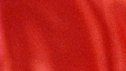 Protagonizó una histórica rivalidad con Julio César Chávez