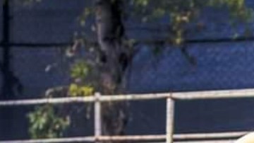 Óscar Jiménez será titular en la jornada 3 contra Xolos de Tijuana.