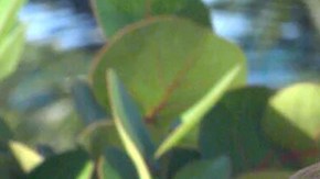 Bárbara Mori, Sebastián Rulli y Eduardo Santamarina protagonizaron 'Rubí' en 2004.