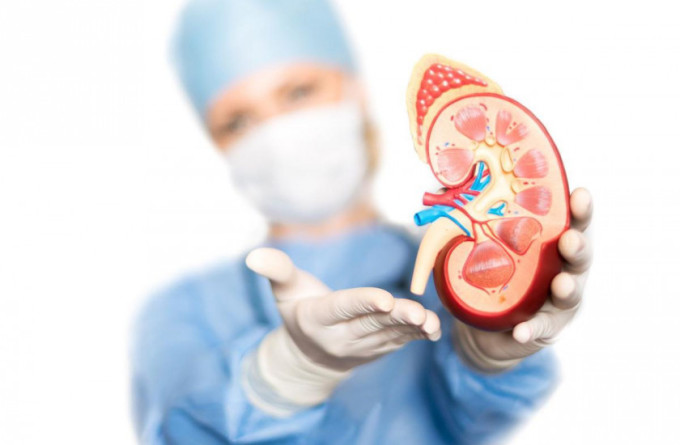 ¿Cuánto tiempo podemos vivir luego de un trasplante de riñón?