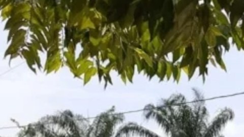 Las autoridades investigan la zona del crimen, donde un niño de 12 años perdió la vida.
