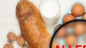 shutterstock_244665391