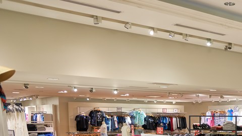 Pareciera que le han mandado un mensaje subliminal a sus compradoras.