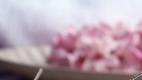 La aguja la encontró en uno de los cajones de su abuela.