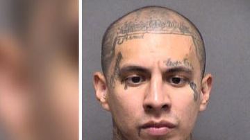 Nikky Rene Vélez había sido arrestado el pasado sábado por la policía de San Antonio bajo un cargo por robo a un vehículo.