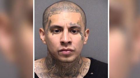 Nikky Rene Vélez había sido arrestado el pasado sábado por la policía de San Antonio bajo un cargo por robo a un vehículo.