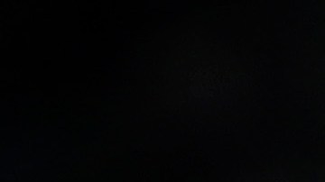 MEXICO CITY, MEXICO - FEBRUARY 11: Gerardo Martino  y su cuerpo técnico deliberan durante una sesió de entranamiento de la Selección Mexicana (Photo by Manuel Velasquez/Getty Images)