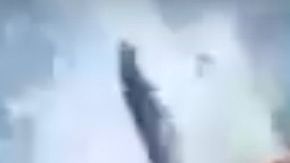 El momento en que salta el tiburón.