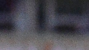 Los Tigres de la UANL arrancaron a paso de campeón el Apertura 2019.