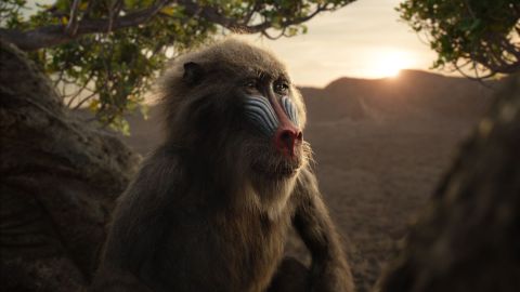John Kani pone voz a Rafiki en The Lion King.