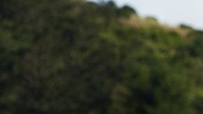 Tom Steyer es el más reciente aspirante a la candidatura demócrata para gobernador de California.