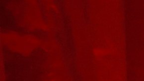 Las jugadoras de la Selección Femenina de Estados Unidos han festejado a lo grande su histórico triunfo en Francia 2019.