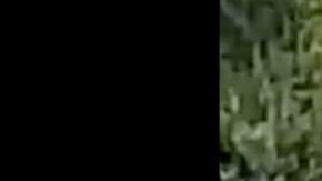 VIDEO: Integrantes del CJNG se pasan de copas y este fue el desenlace