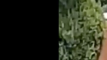 VIDEO: Integrantes del CJNG se pasan de copas y este fue el desenlace