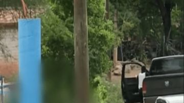 VIDEO: Los Rojos retan a "El Mencho", así robaron casa de sicario asesinado del CJNG