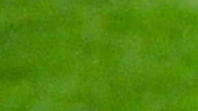 La magia de Xavi Hernández enfundado en la camiseta del Barcelona y de la Selección Española de Fútbol será inolvidable para los fanáticos del fútbol.