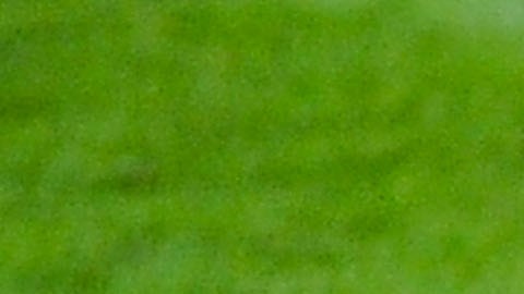 La magia de Xavi Hernández enfundado en la camiseta del Barcelona y de la Selección Española de Fútbol será inolvidable para los fanáticos del fútbol.