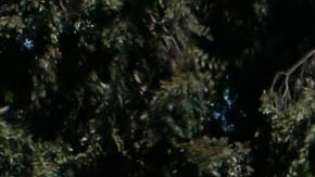 Muchas personas viven en sus autos ya que no pueden pagar el alquier de un hogar. / foto: Archivo.