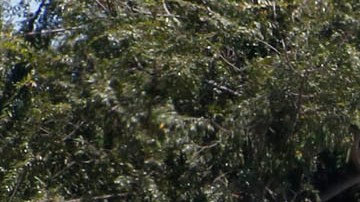 Personas sin hogar que viven en sus vehículos estacionados al lado de un parque de Los Ángeles.