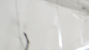 Lagunas entrena a los trabajadores.  Aurelia Ventura/La Opinión