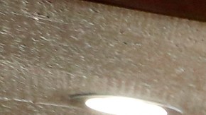 Paul Peñuelas muestra uno de sus platillos estrella en su restaurante El Perihuete de Paramount. / foto: Aurelia Ventura.