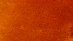 Joshua Montalvo espera optimista que los pequeños negocios se reactiven en la temporada de compras navideñas que comienza mañana con el Viernes Negro.(Aurelia Ventura/ La Opinión)