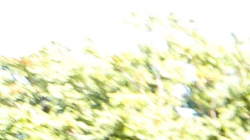 Los trabajadores móviles celebran la victoria/ Aurelia Ventura