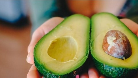 0955_aguacate_620x350