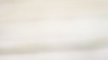 102166923_gettyimages-694087276