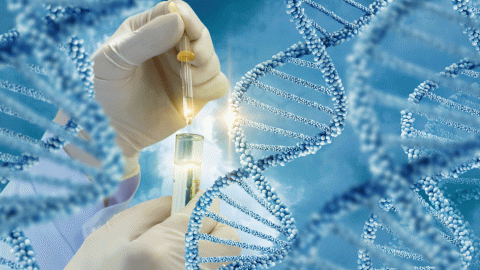 107943261_dna1