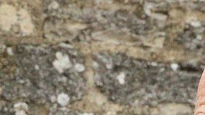 108264920_gettyimages-872084938