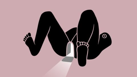 108290323_pussypedia