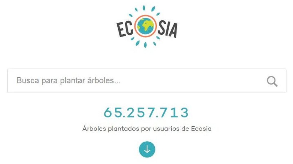 Ecosia asegura que ha colaborado en plantar más de 65 millones de árboles.