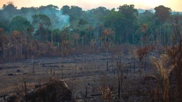 Los líderes del G7 acordaron el lunes entregar apoyo económico y logístico a los países afectados que están luchando apagar los incendios en la Amazonía.