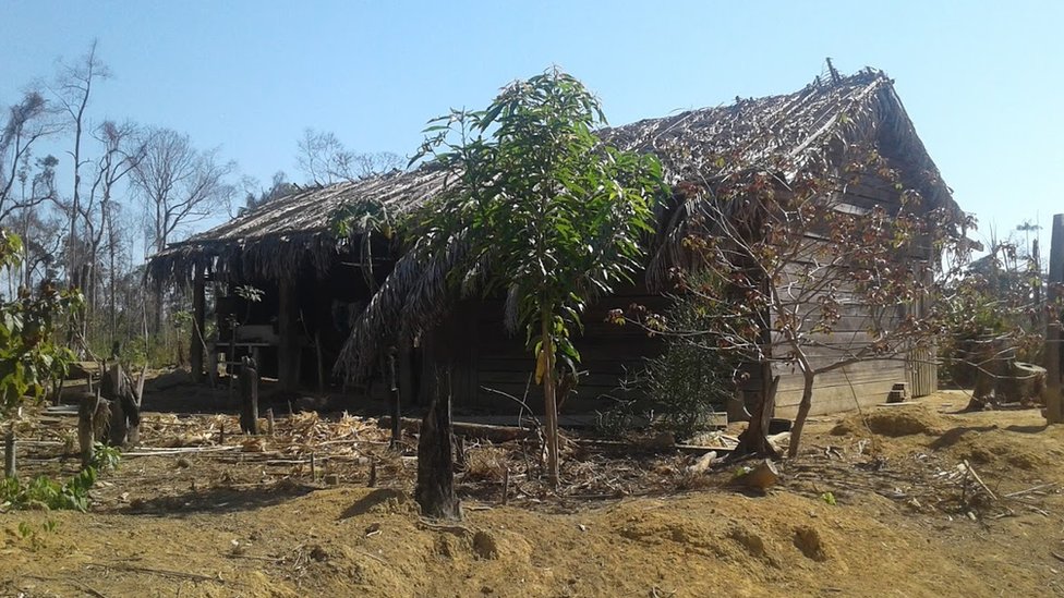 Eidi y Romildo murieron cuando intentaban huir de las llamas que rodearon su casa en una zona rural del estado de Rondonia, en Brasil.