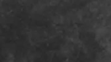 El video muestra cómo el Tesla de casi $100,000 es robado en 30 segundos.