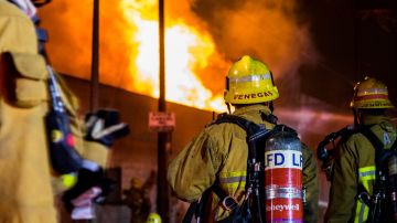 53 bomberos respondieron al incendio el cual fue apagado en 34 minutos.